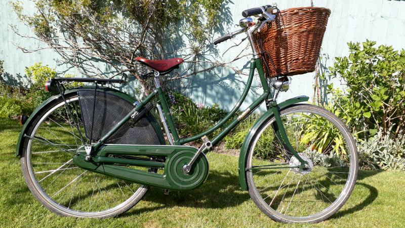 gumtree pashley